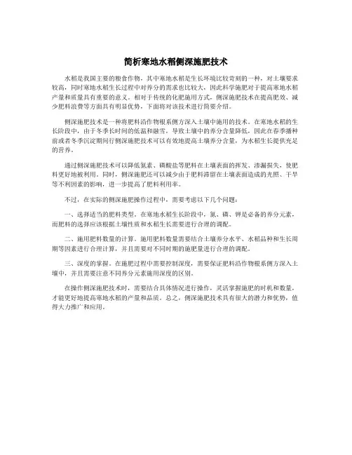 简析寒地水稻侧深施肥技术