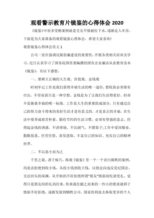  观看警示教育片镜鉴的心得体会2020