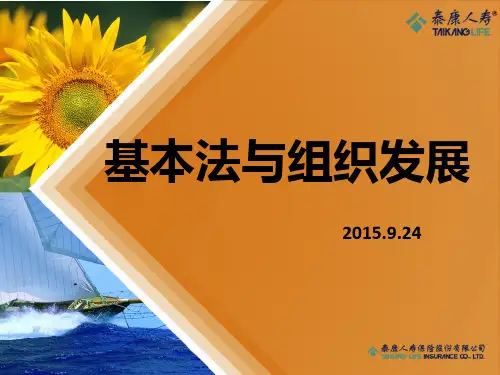 2010加强版收展基本法