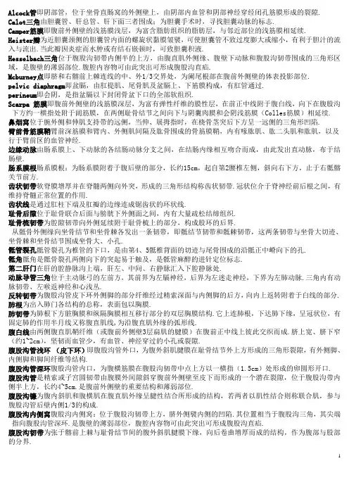 名词解释2