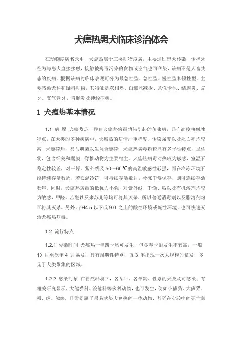 犬瘟热患犬临床诊治体会