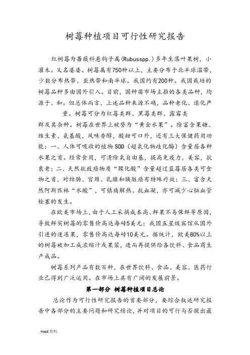 树莓种植项目可行性实施计划书