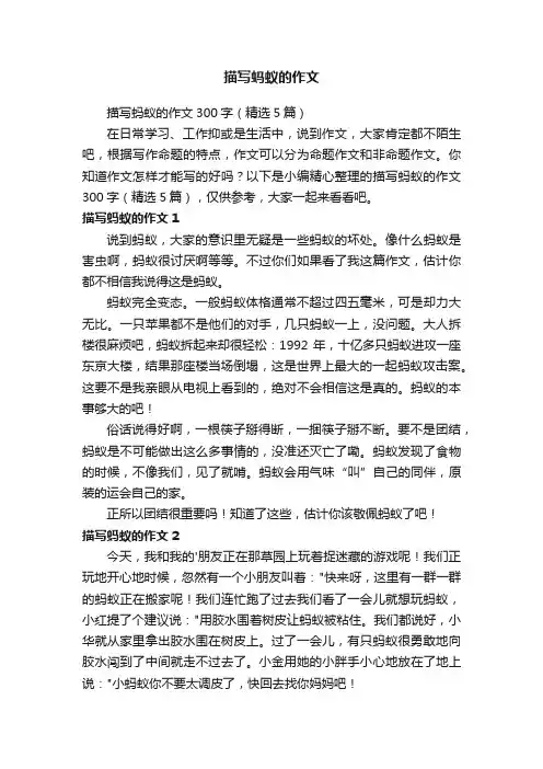 描写蚂蚁的作文300字（精选5篇）