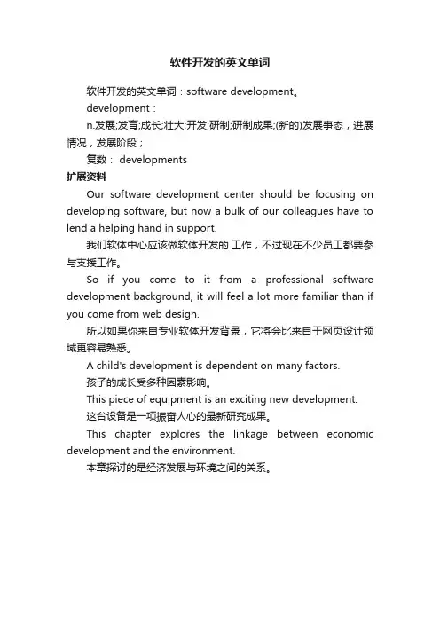 软件开发的英文单词