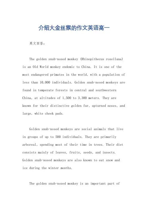 介绍大金丝猴的作文英语高一