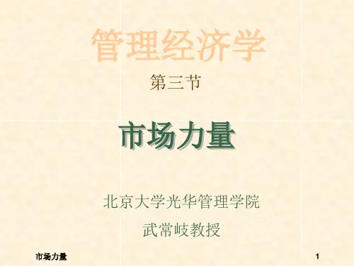 北大光华武常岐-管理经济学