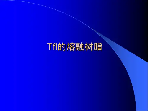 氟塑料-FEP -挤出-演示-091008