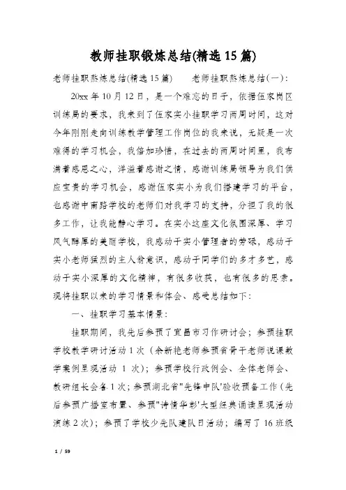 教师挂职锻炼总结(精选15篇)