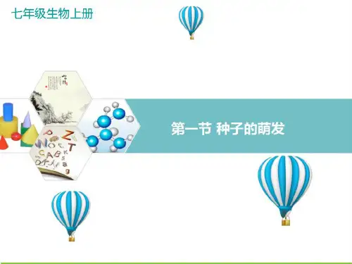 新人教版生物七年级上册《种子的萌发》精品教学课件