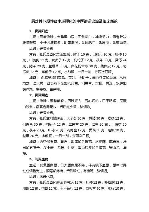 局灶性节段性肾小球硬化的中医辨证论治及临床新论