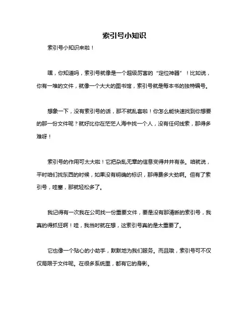 索引号小知识