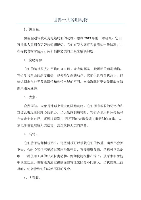 世界十大聪明动物