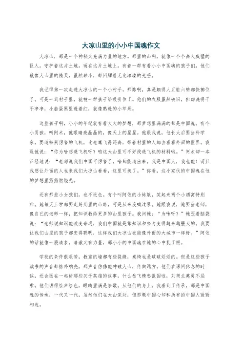 大凉山里的小小中国魂作文