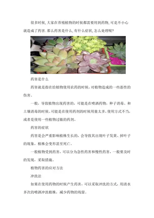 植物的药害及其处理