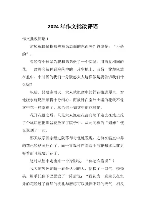 2024年作文批改评语