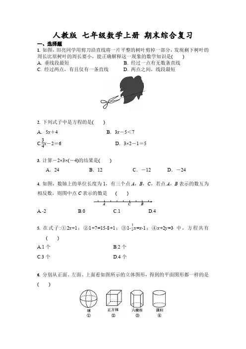 人教版 七年级数学上册 期末综合复习(含答案)