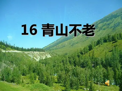 16青山不老PPT课件