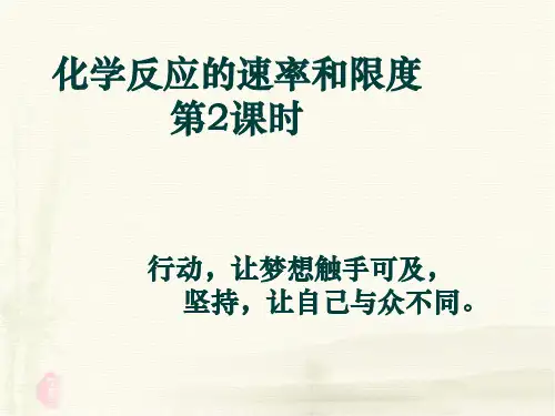 高中化学课件必修二《第二章 第三节 化学反应速率和限度第二课时》精品课件