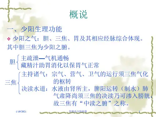 伤寒论少阳病篇培训课件
