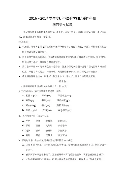 山东省淄博市张店区2017届中考一模语文试卷(附答案)