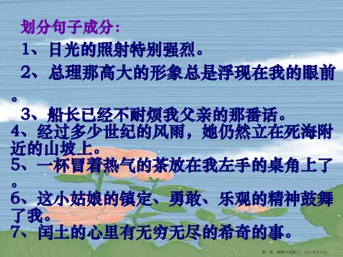 《中考语文复习划分句子成分》ppt课件