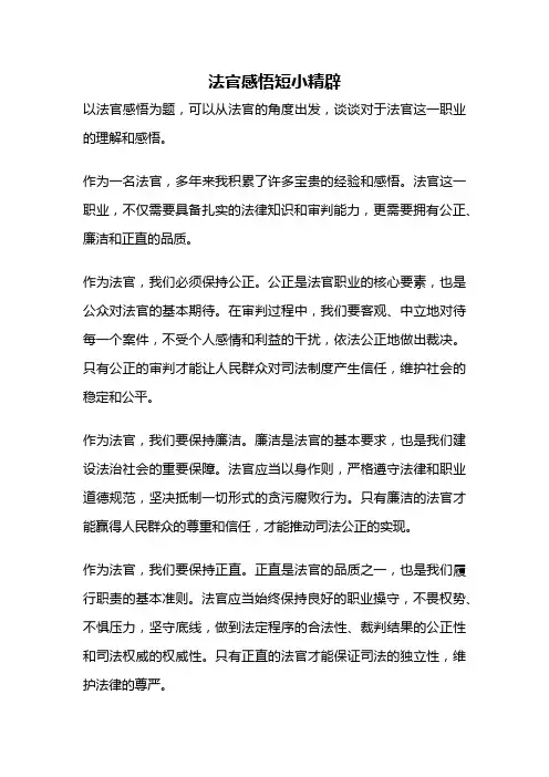 法官感悟短小精辟