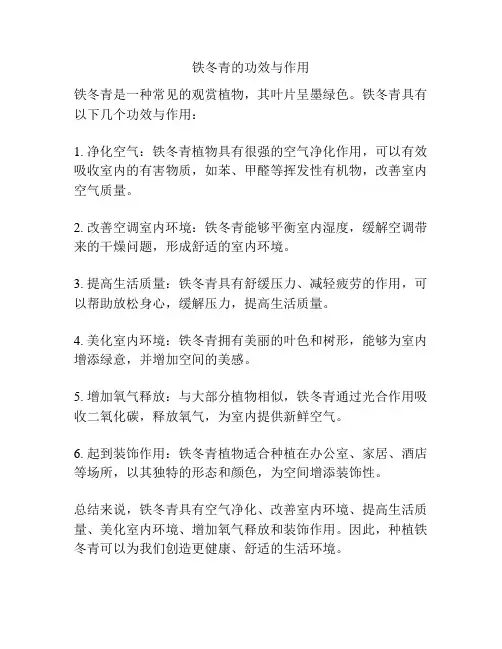 铁冬青的功效与作用