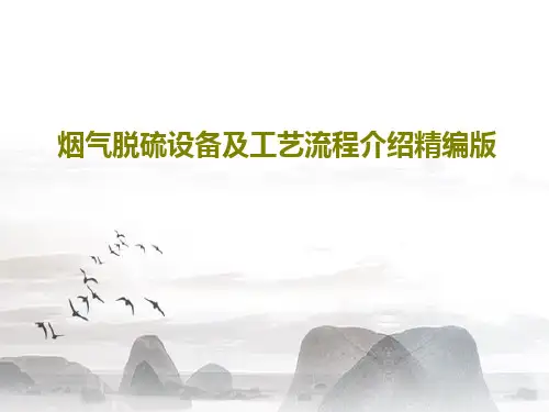 烟气脱硫设备及工艺流程介绍精编版45页PPT