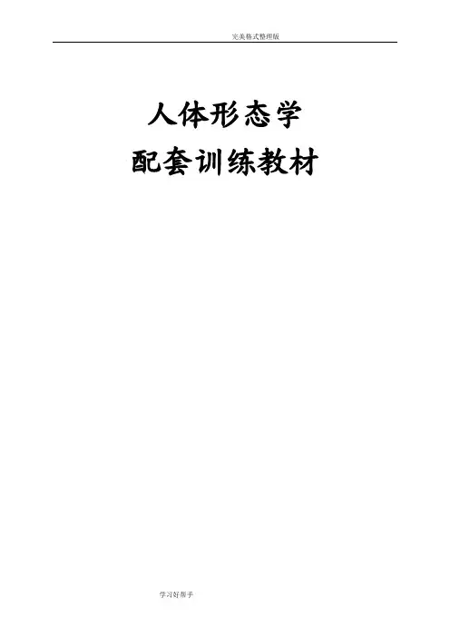 人体形态学[解剖学]配套训练教材含答案解析