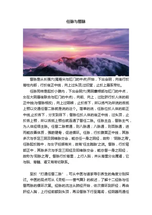 任脉与督脉