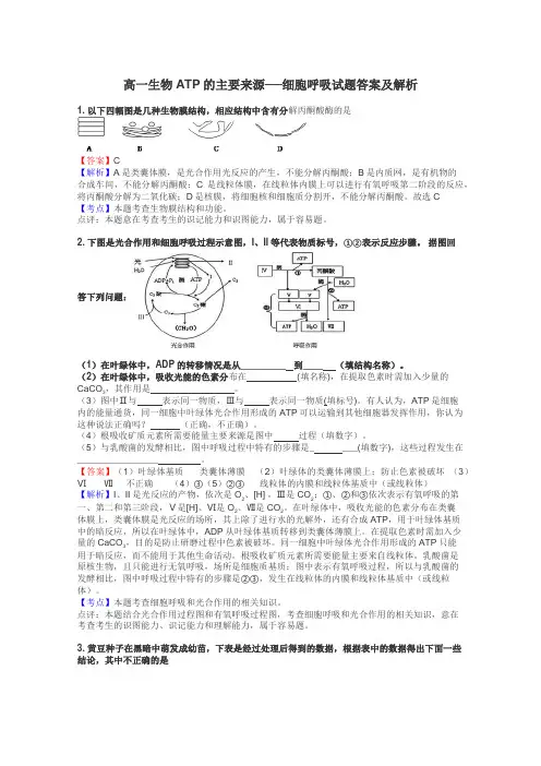 高一生物ATP的主要来源──细胞呼吸试题答案及解析
