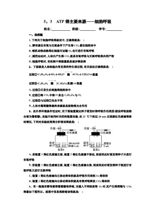 细胞呼吸加强练习题