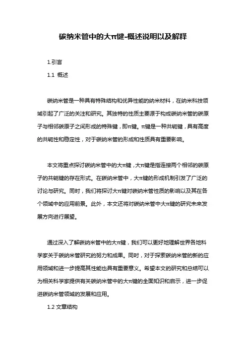 碳纳米管中的大π键-概述说明以及解释