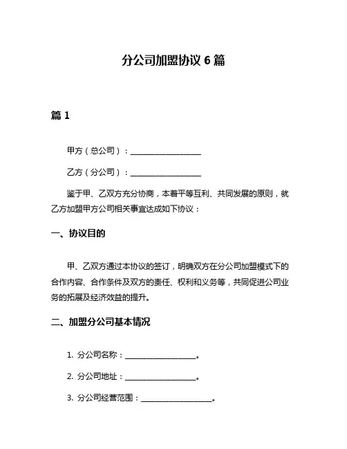 分公司加盟协议6篇