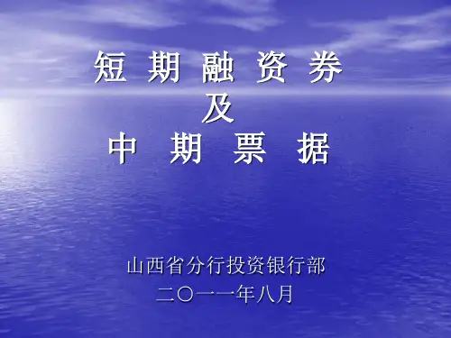 短期融资券及中期票据