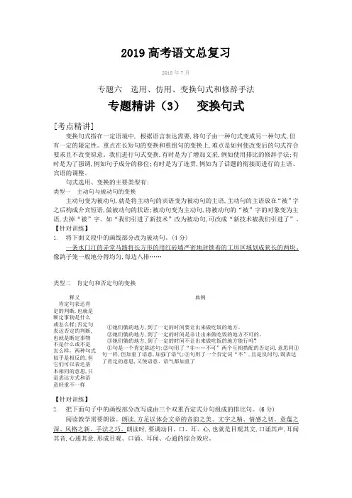 2019高考语文专题强化提升(真题体验、考点技法精讲精练)  专题六 句式和修辞手法专题精讲(3)变换句式