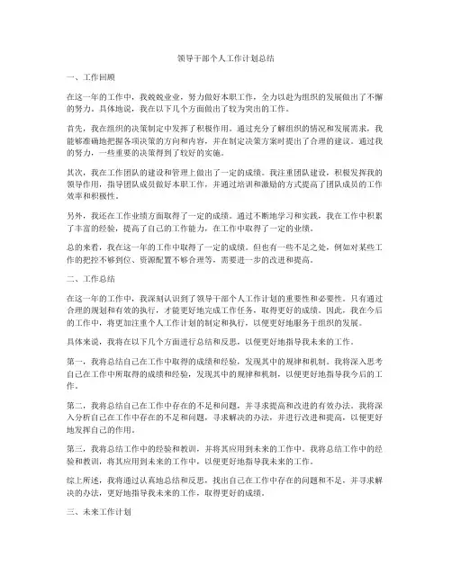 领导干部个人工作计划总结