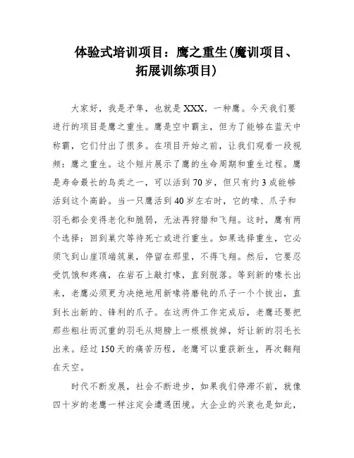 体验式培训项目：鹰之重生(魔训项目、拓展训练项目)