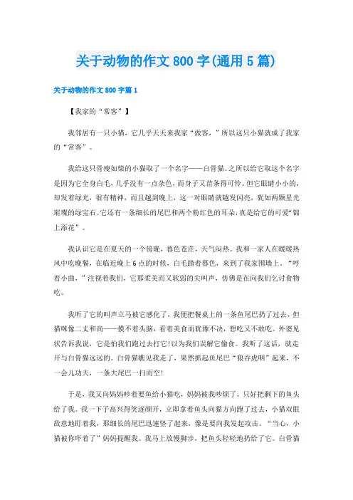 关于动物的作文800字(通用5篇)