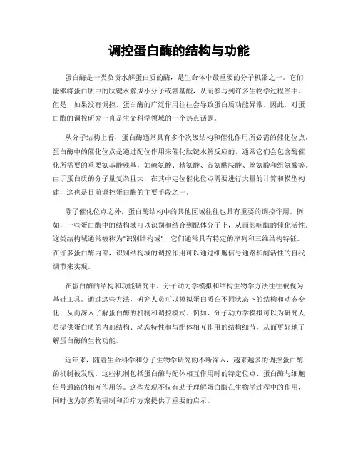 调控蛋白酶的结构与功能