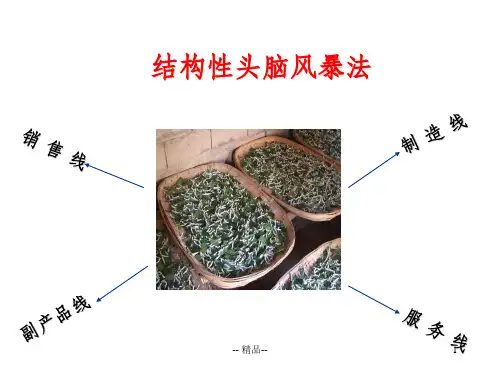 结构性头脑风暴法的举例