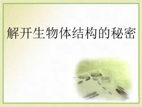 五年级下册科学课件-3.1 解开生物体结构的秘密(18)-湘科版