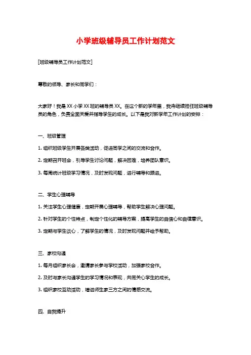小学班级辅导员工作计划范文