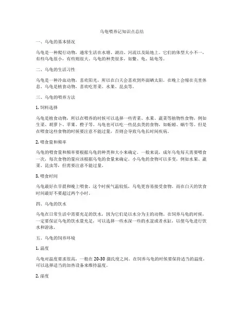 乌龟喂养记知识点总结