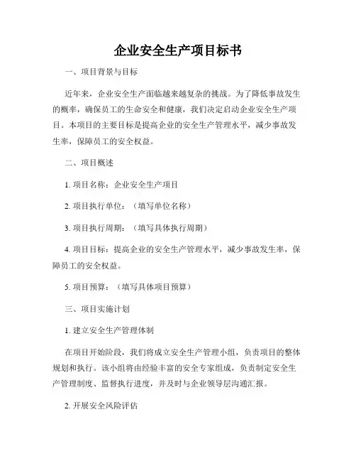 企业安全生产项目标书