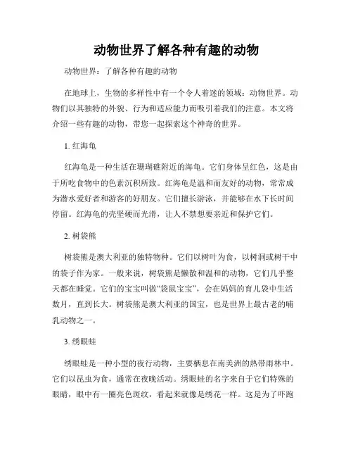 动物世界了解各种有趣的动物