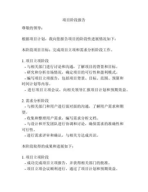项目阶段报告