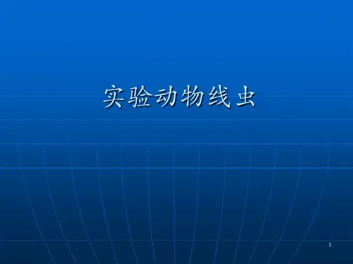 实验动物常见线虫