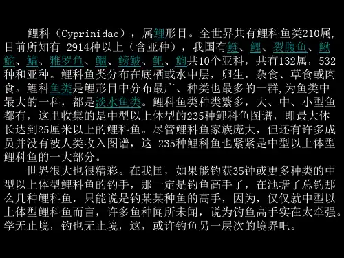 235种中大型鲤科鱼图谱237页