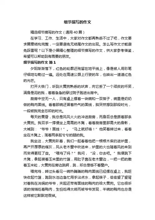 精选细节描写的作文（通用40篇）